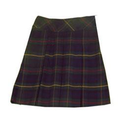 Pleat with Liner Skort